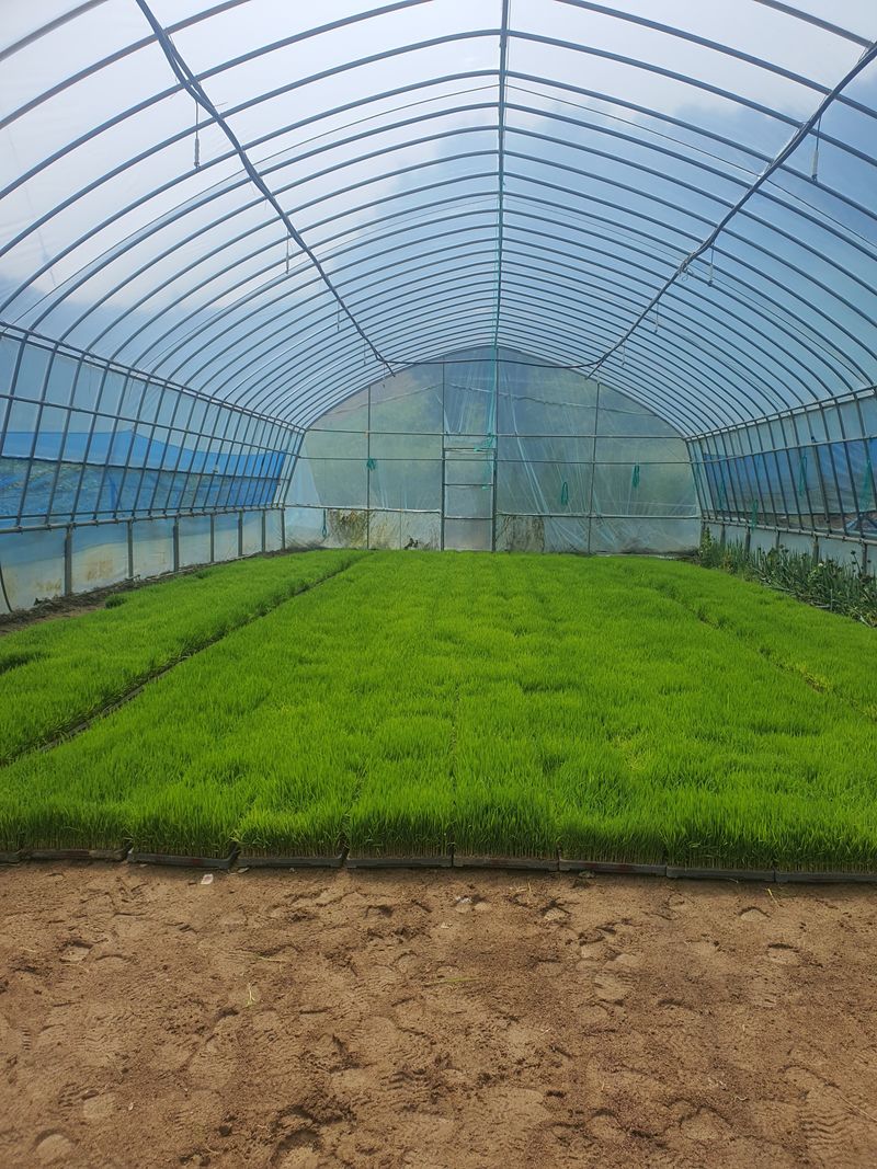 장터 상품 [친들모] 썸네일