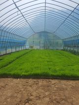 팜모닝 · 게시글 이미지