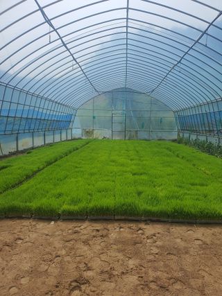 신재경님의 작성글 사진