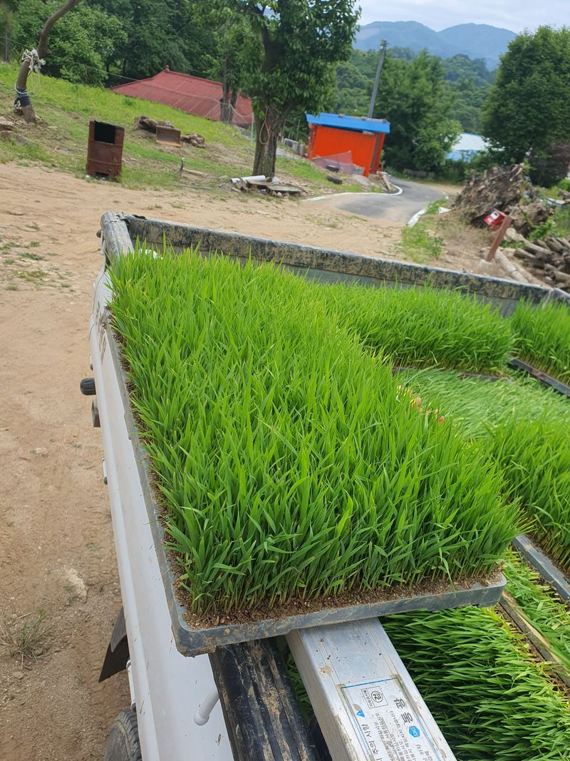 신재경님의 장터 판매 상품 [친들모] 첨부 사진
