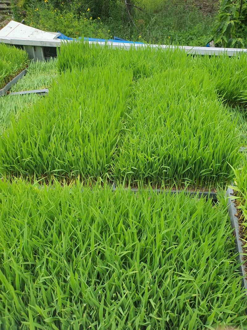 신재경님의 장터 판매 상품 [친들모] 첨부 사진