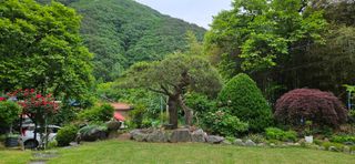 김둘점님의 자유주제 · 자유게시판 작성글 사진