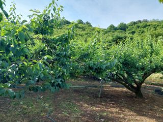 차만석님의 자유주제 · 자유게시판 작성글 사진