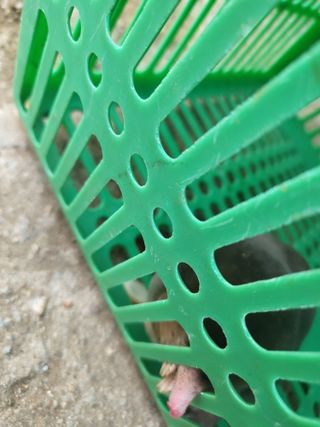 허니허니님의 자유주제 · 자유게시판 작성글 사진