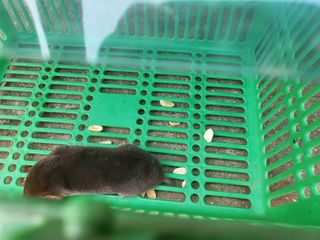 허니허니님의 자유주제 · 자유게시판 작성글 사진