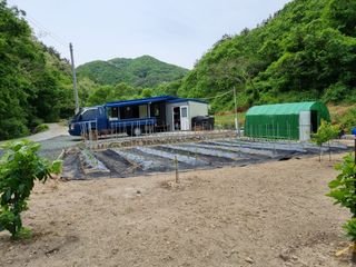 김종태 님의 팜모닝 · 출석 작성글 사진