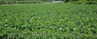 미스터션샤인님의 6월 농사계획🧑🏻‍🌾 · 참여글 작성글 사진