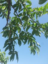 팜모닝 6월 농사계획🧑🏻‍🌾·참여글 게시글 이미지