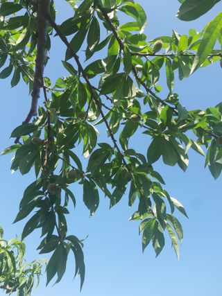 구인회님의 6월 농사계획🧑🏻‍🌾 · 참여글 작성글 사진
