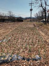 팜모닝 6월 농사계획🧑🏻‍🌾·참여글 게시글 이미지