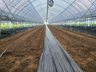 머위농장님의 6월 농사계획🧑🏻‍🌾 · 참여글 작성글 사진