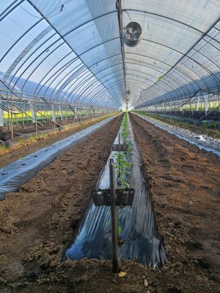 머위농장님의 6월 농사계획🧑🏻‍🌾 · 참여글 작성글 사진