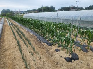 갑부님의 6월 농사계획🧑🏻‍🌾 · 참여글 작성글 사진