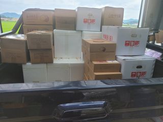 청백님의 팜모닝 · 출석 작성글 사진