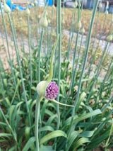 팜모닝 자유주제·자유게시판 게시글 이미지