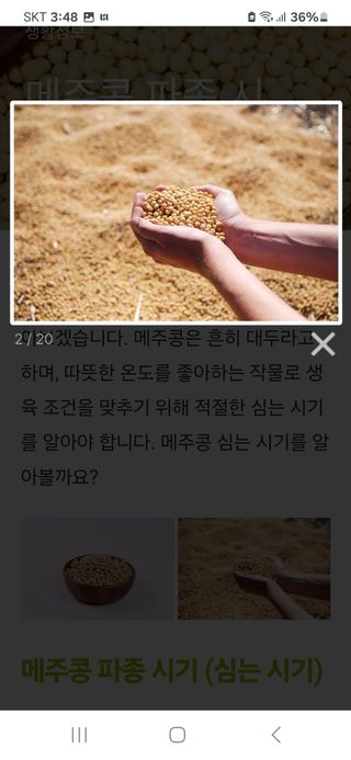 박영택님의 6월 농사계획🧑🏻‍🌾 · 참여글 작성글 사진