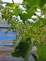 팜모닝 자유주제·자유게시판 게시글 이미지