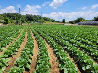 장남복님의 6월 농사계획🧑🏻‍🌾 · 참여글 작성글 사진