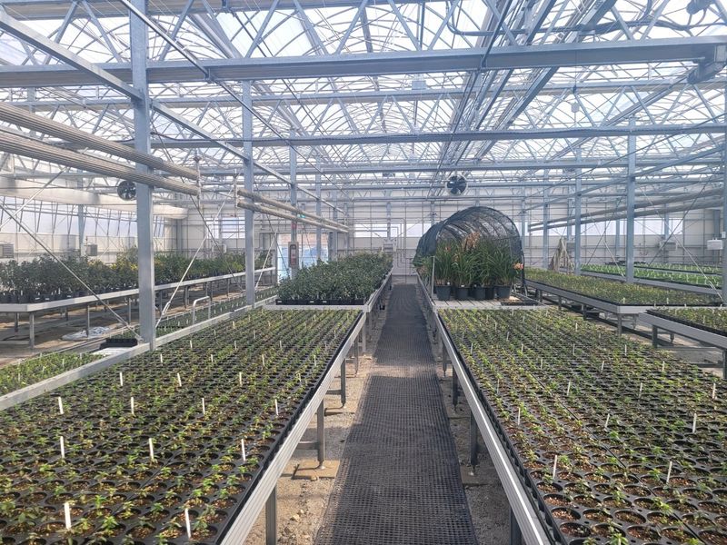 세상에모든안개님의 장터 판매 상품 [온실시공 폭염대비 안개포그] 첨부 사진