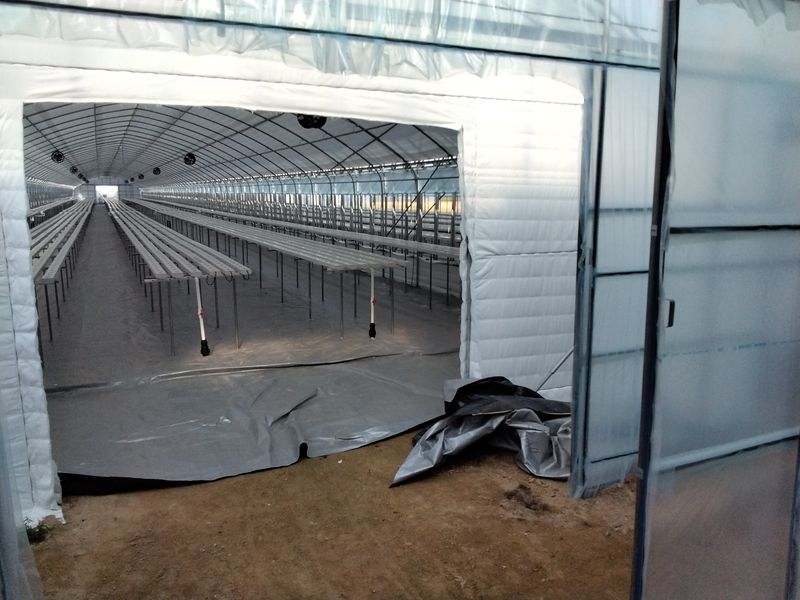 세상에모든안개님의 장터 판매 상품 [온실시공 폭염대비 안개포그] 첨부 사진