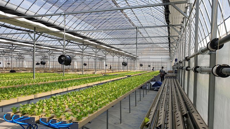 세상에모든안개님의 장터 판매 상품 [온실시공 폭염대비 안개포그] 첨부 사진