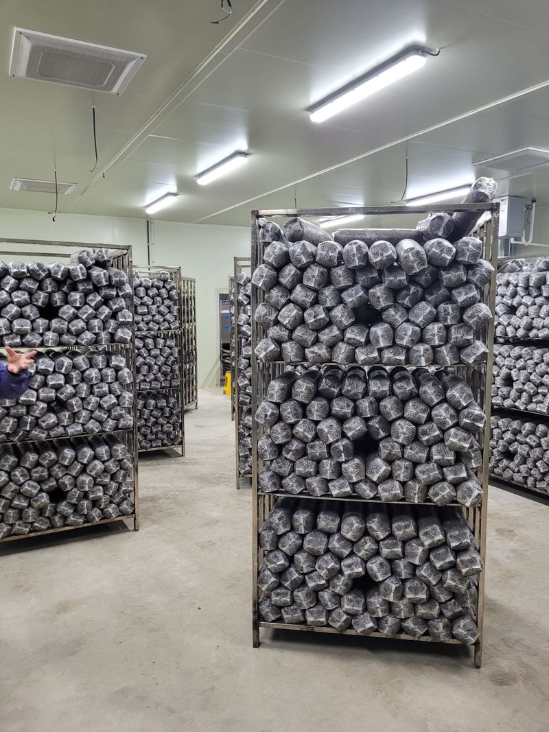 세상에모든안개님의 장터 판매 상품 [온실시공 폭염대비 안개포그] 첨부 사진