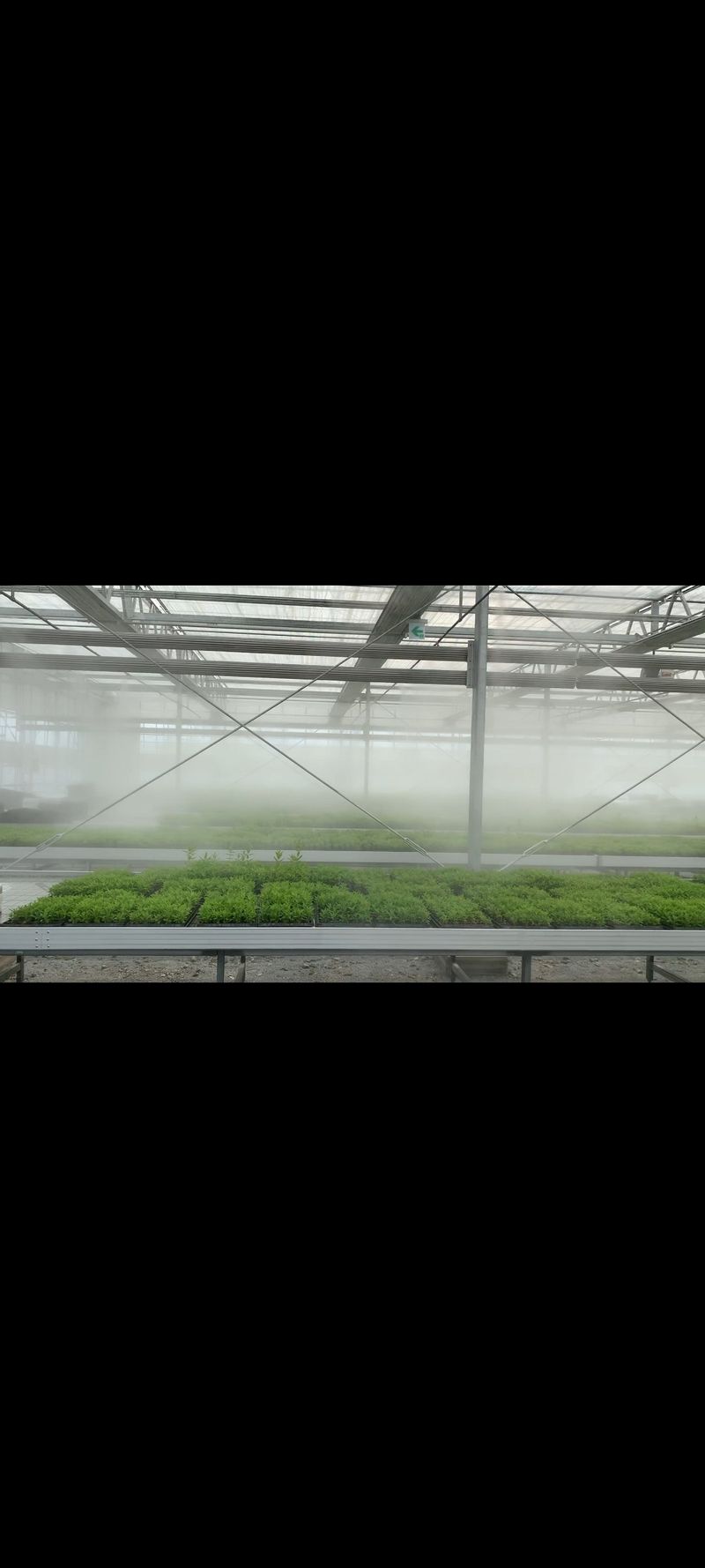 세상에모든안개님의 장터 판매 상품 [온실시공 폭염대비 안개포그] 첨부 사진