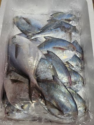 땅끝해남님의 자유주제 · 자유게시판 작성글 사진