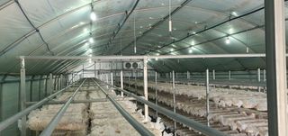 그로밋님의 6월 농사계획🧑🏻‍🌾 · 참여글 작성글 사진