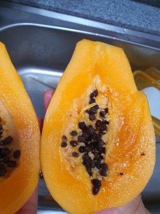 고흥백향과농장님의 6월 농사계획🧑🏻‍🌾 · 참여글 작성글 사진