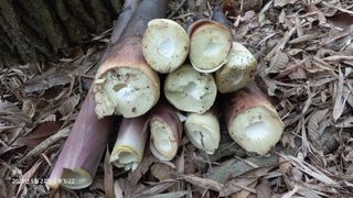 문해님의 자유주제 · 자유게시판 작성글 사진