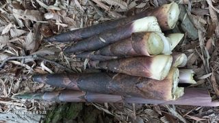 문해님의 자유주제 · 자유게시판 작성글 사진