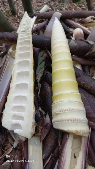 문해님의 자유주제 · 자유게시판 작성글 사진