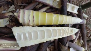 문해님의 자유주제 · 자유게시판 작성글 사진