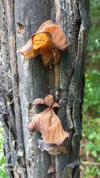 문해님의 자유주제 · 자유게시판 작성글 사진