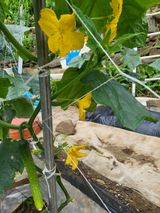 팜모닝 자유주제·자유게시판 게시글 이미지