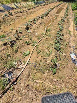 가인 5362님의 자유주제 · 자유게시판 작성글 사진