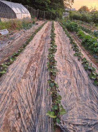 가인 5362님의 자유주제 · 자유게시판 작성글 사진