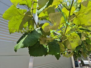 가인 5362님의 자유주제 · 자유게시판 작성글 사진