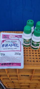 팜모닝 사과·영농일지 게시글 이미지