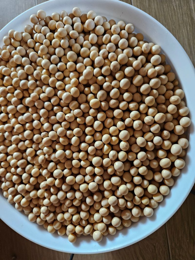 장터 상품 [백태 1키로(대원이콩)판매완료] 썸네일