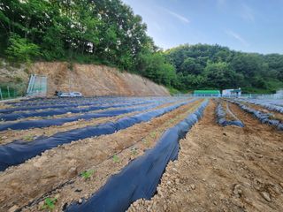 풀빛정원님의 6월 농사계획🧑🏻‍🌾 · 참여글 작성글 사진