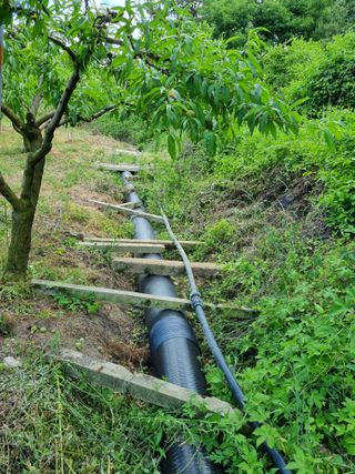 박성호(한복)님의 복숭아 · 영농일지 작성글 사진