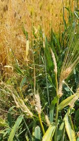 팜모닝 자유주제·자유게시판 게시글 이미지