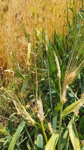 황의성님의 자유주제 · 자유게시판 작성글 사진