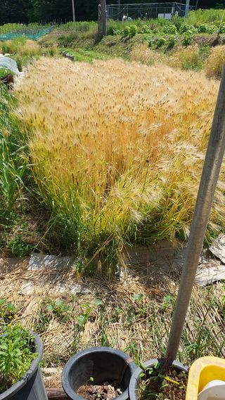 황의성님의 자유주제 · 자유게시판 작성글 사진