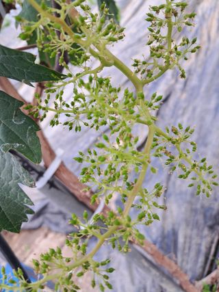 포도님의 자유주제 · 자유게시판 작성글 사진