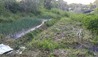 정보센터님의 고추 · 영농일지 작성글 사진