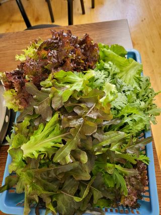 춘천연산골춘천닭갈비님의 자유주제 · 자유게시판 작성글 사진