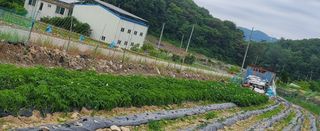 송씨네막내딸님의 6월 농사계획🧑🏻‍🌾 · 참여글 작성글 사진